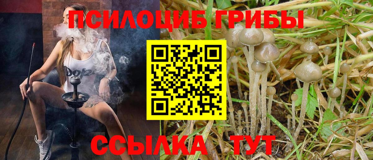 Псилоцибиновые грибы ЛСД  Вход с VPN  Мурино 
