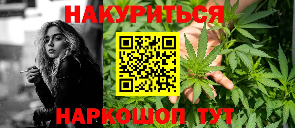 Бошки Шишки план Мурино